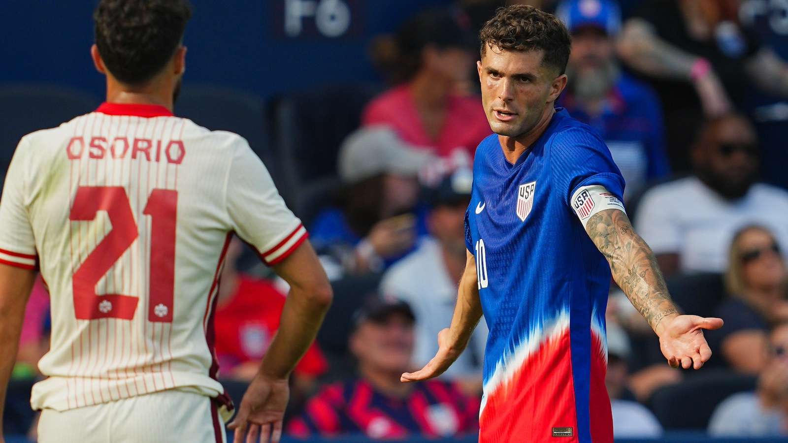 看到团队的 看到团队的