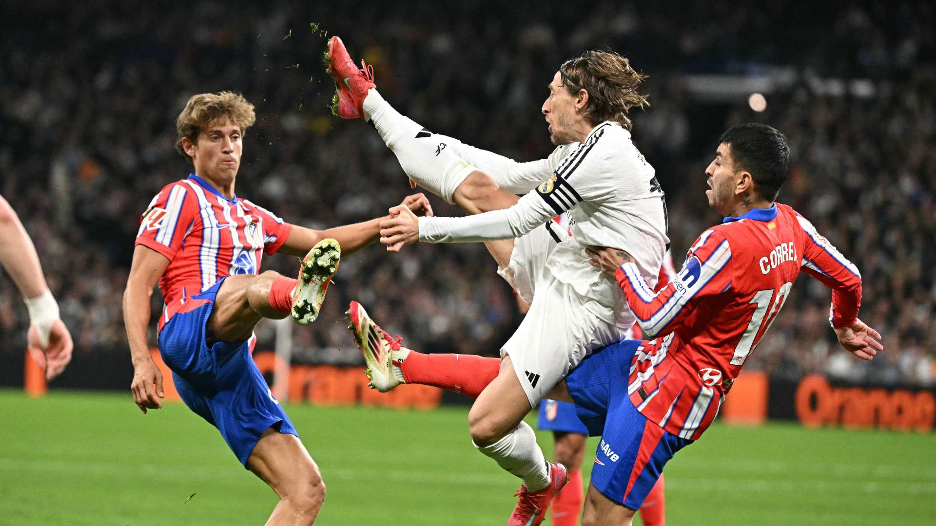 这些法律的 这些法律的